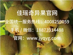 金什獼猴桃